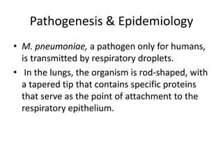 Mycoplasma pneumoniae and Its Role as a Human Pathogen